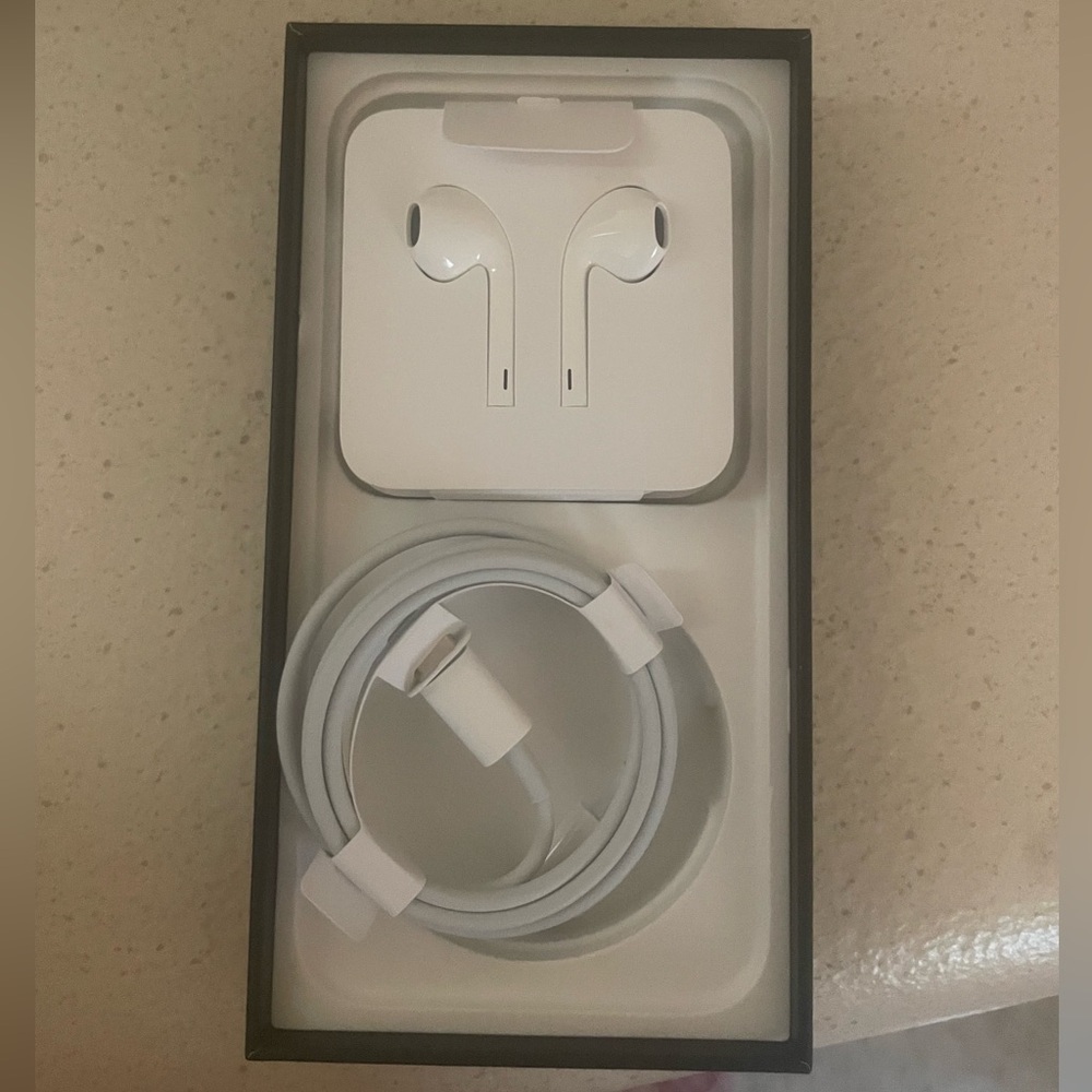 iPhone earplugs and charger plug only (no box)